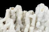 Agatized Fossil Coral With Quartz Stalactites - Florida #188201-3